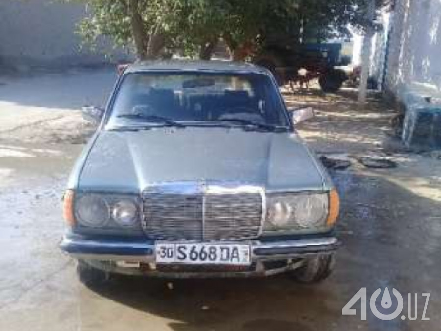 Mercedes-Benz W123