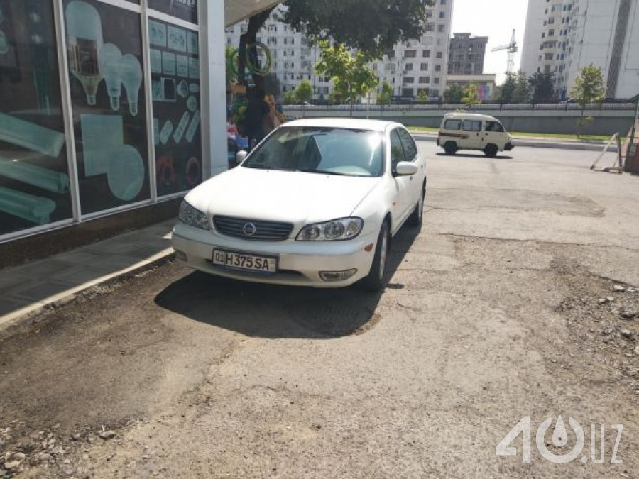 Nissan Maxima V (A33)