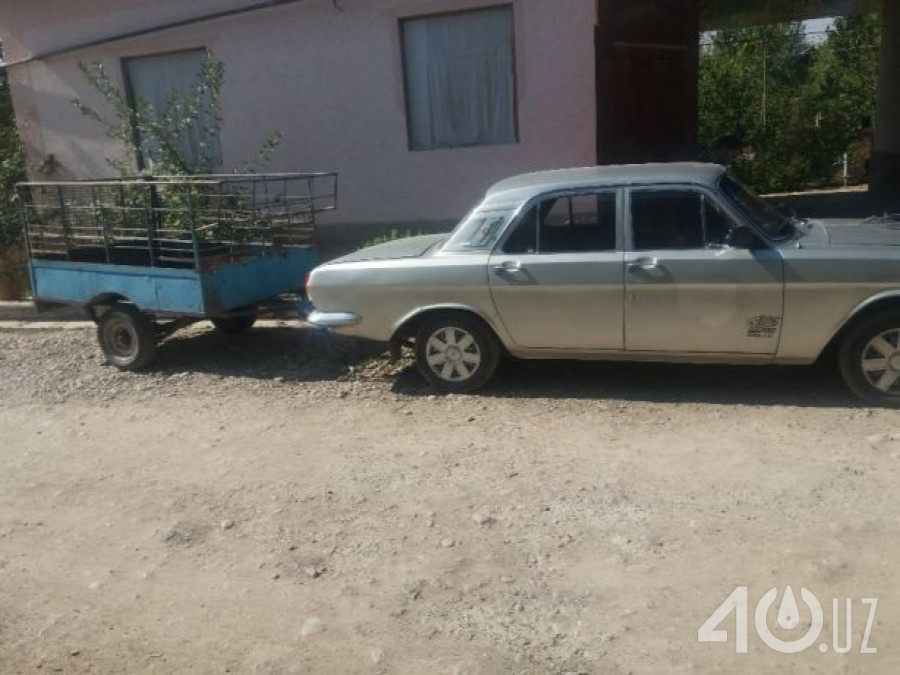 ГАЗ 24 «Волга» I (24)
