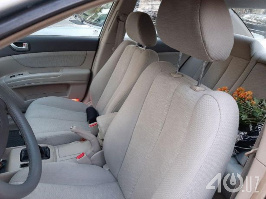 Hyundai Sonata V (NF)