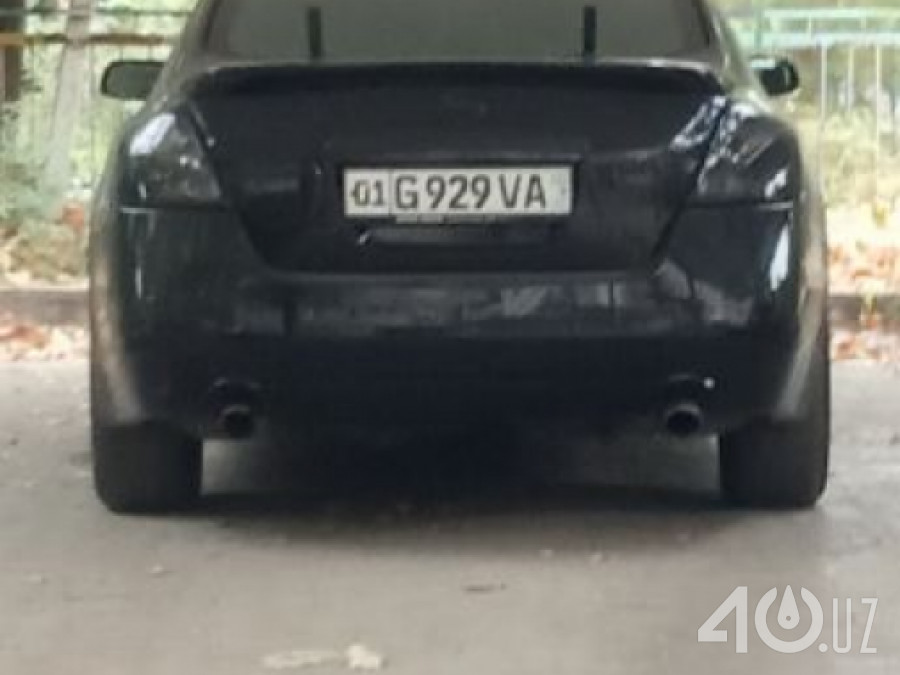 Nissan Altima IV (L32)