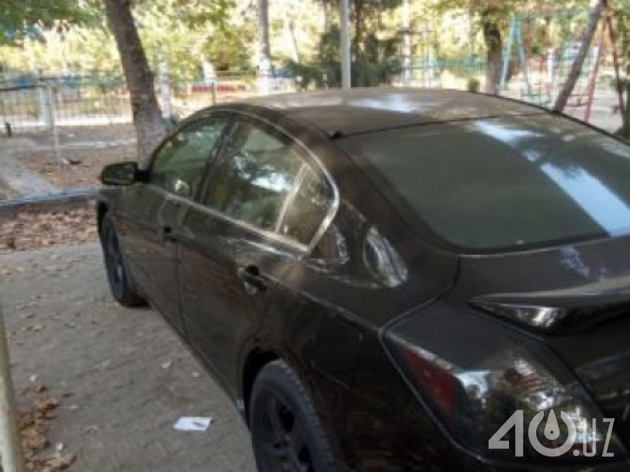 Nissan Altima IV (L32)