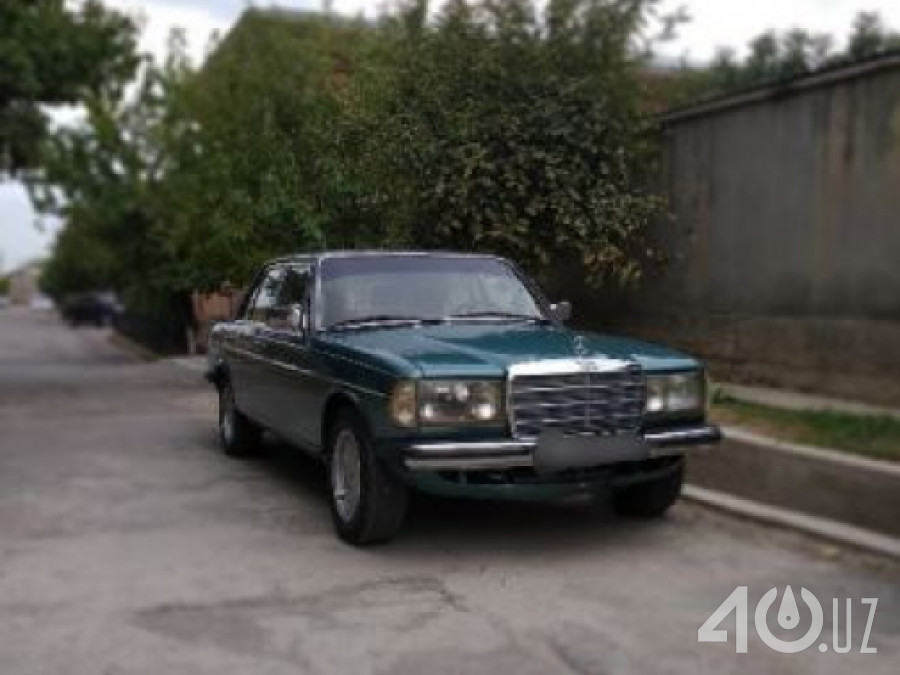 Mercedes-Benz W123