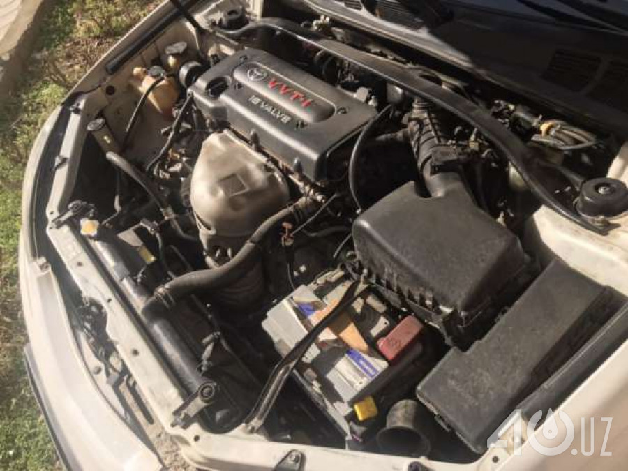 Toyota Camry V (XV30)