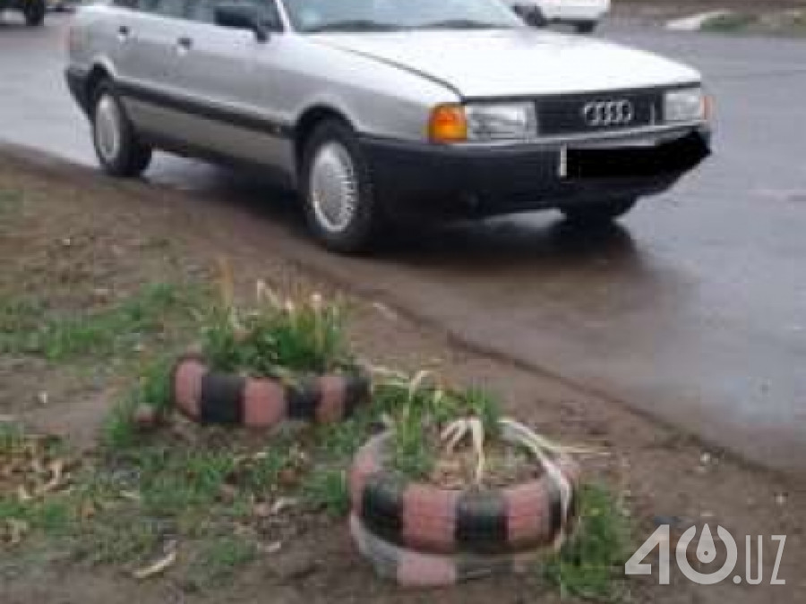 Audi 80 IV (B3)