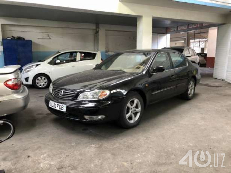 Nissan Maxima VI (A34)
