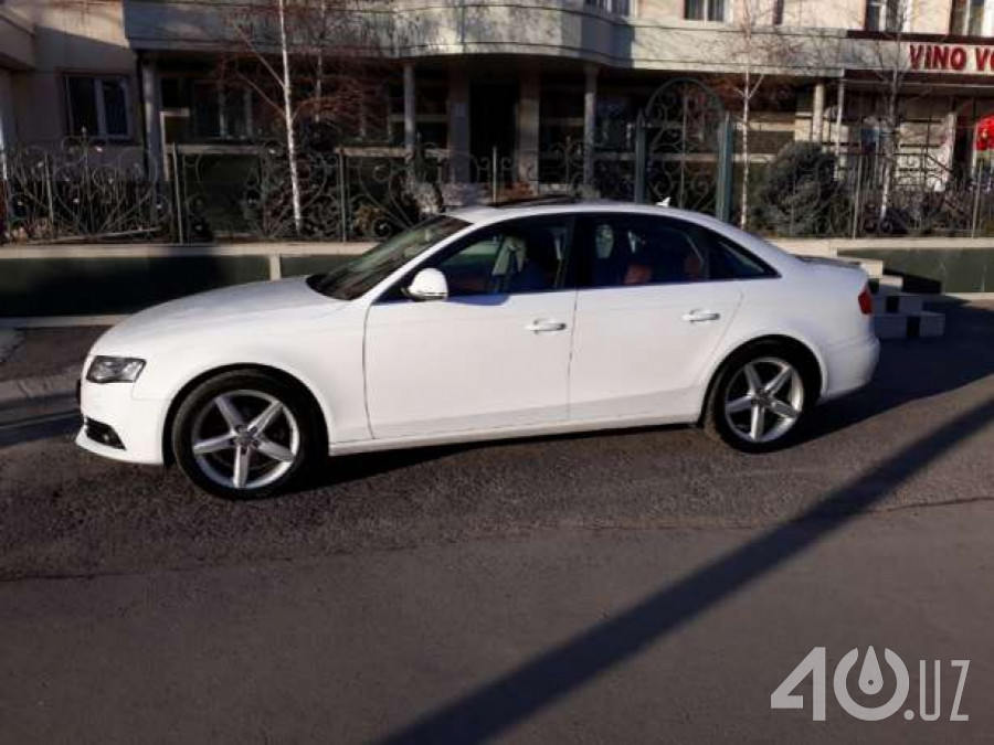Audi A4 IV (B8)