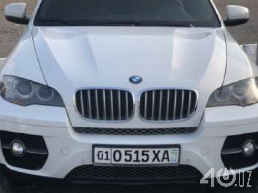 BMW X6 I (E71)