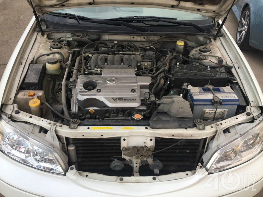 Nissan Maxima V (A33)