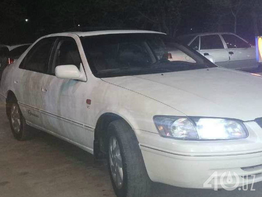 Toyota Camry IV (XV20)