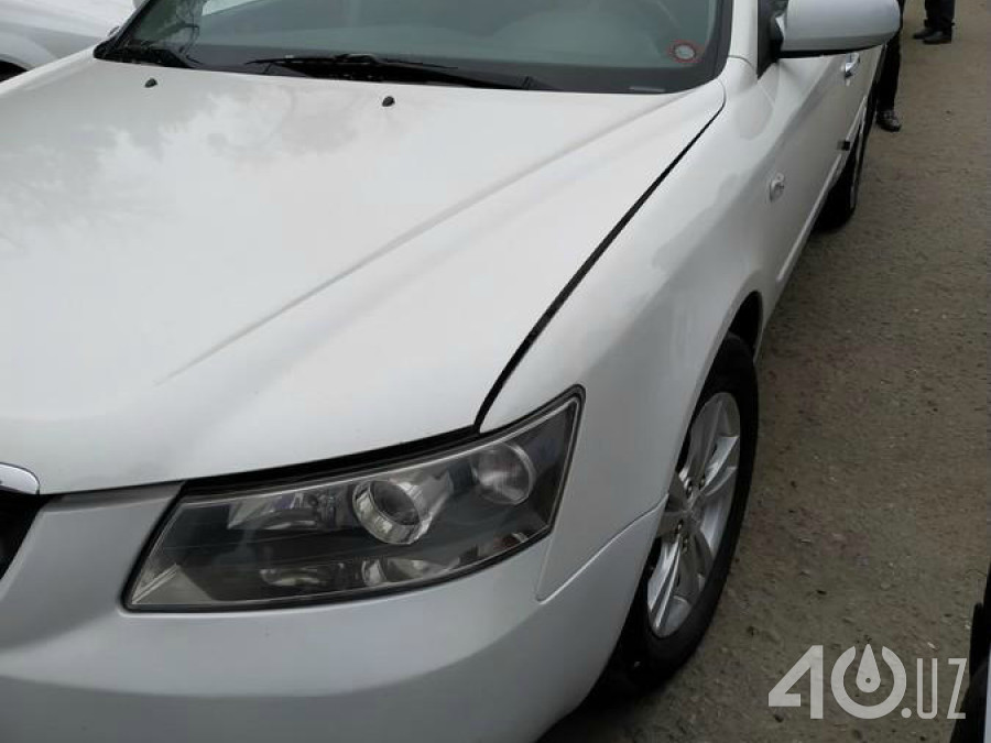 Hyundai Sonata V (NF)