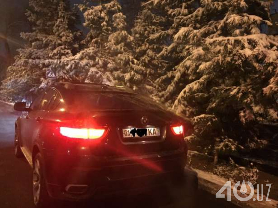 BMW X6 I (E71)