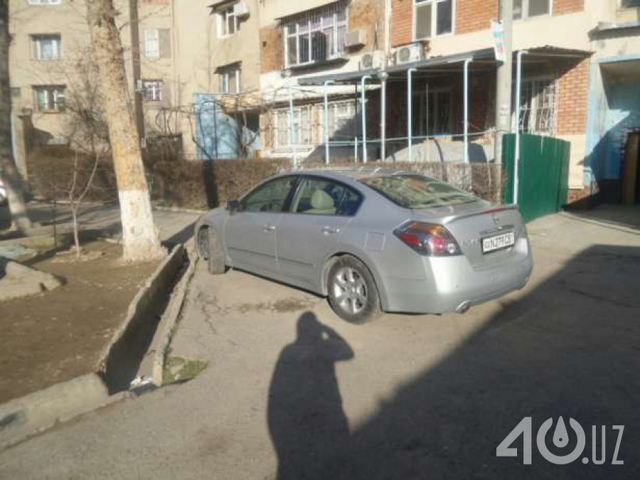 Nissan Altima IV (L32)