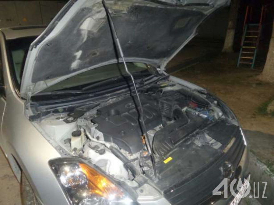 Nissan Altima IV (L32)