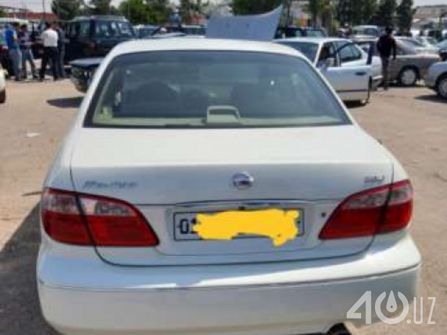 Nissan Maxima V (A33)
