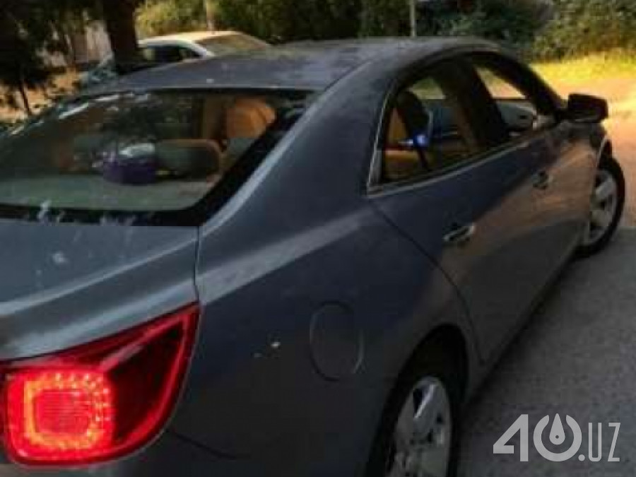 Chevrolet Uz Malibu I