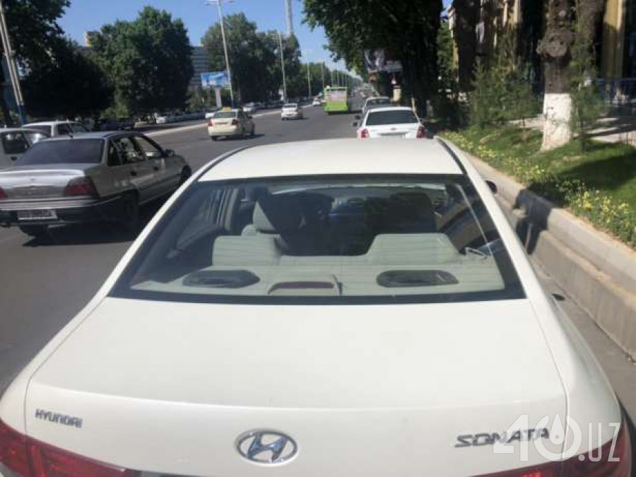 Hyundai Sonata V (NF)