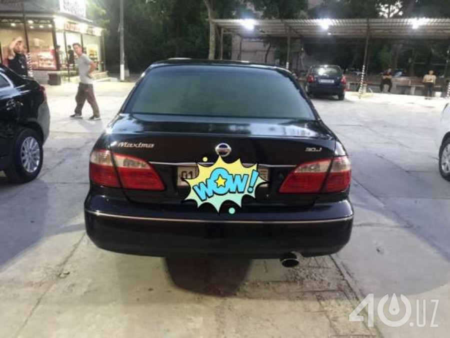 Nissan Maxima V (A33)