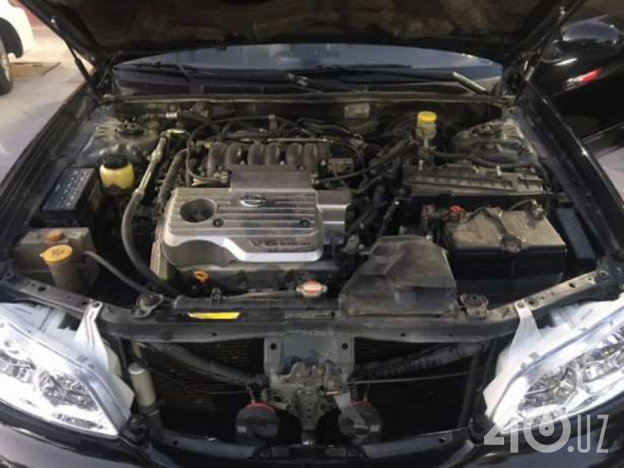Nissan Maxima V (A33)