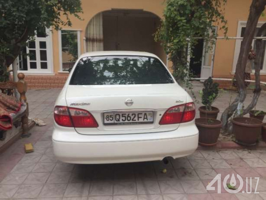 Nissan Maxima V (A33)