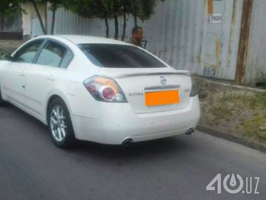 Nissan Altima IV (L32)