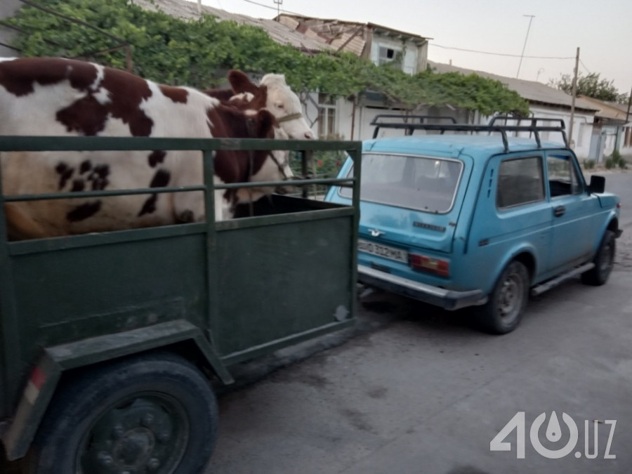 LADA (ВАЗ) 2121 (4x4)