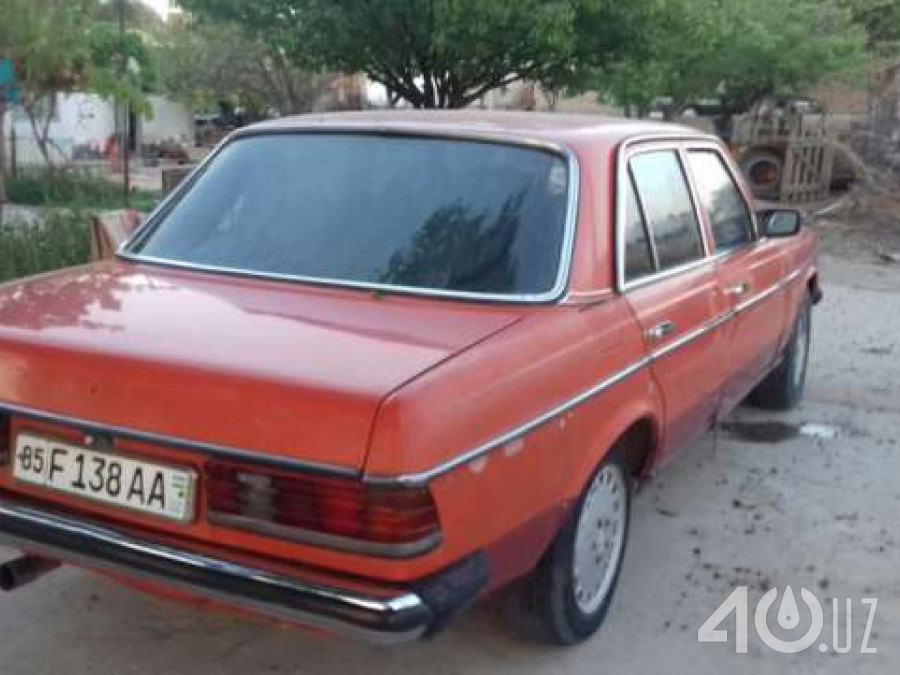 Mercedes-Benz W123