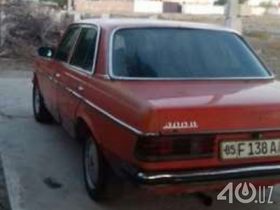Mercedes-Benz W123