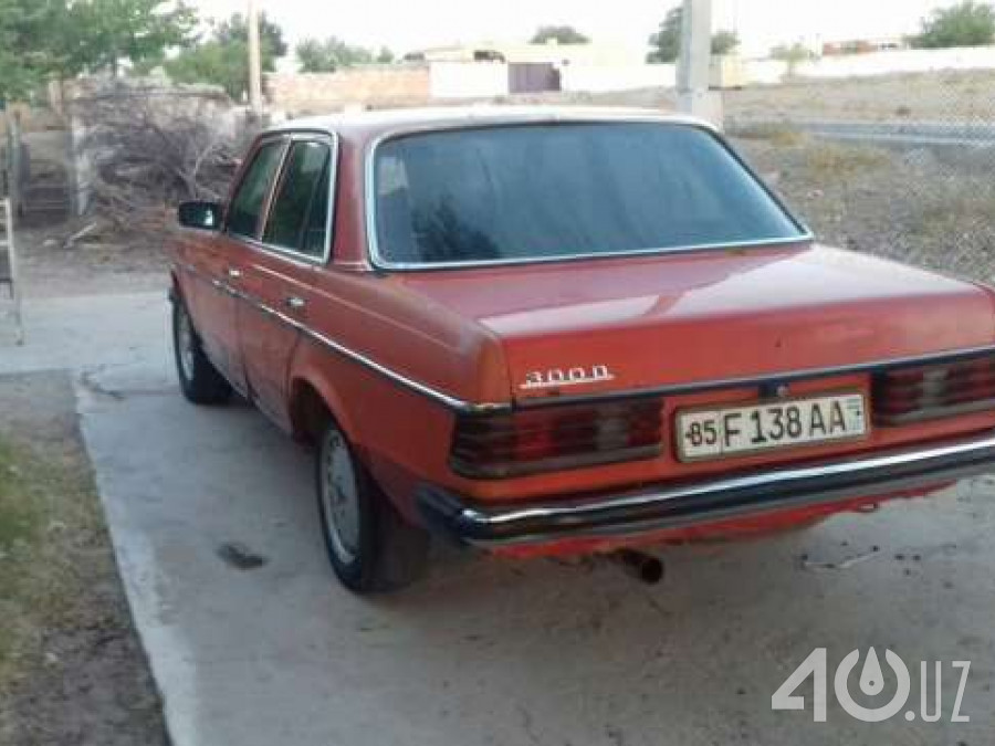 Mercedes-Benz W123