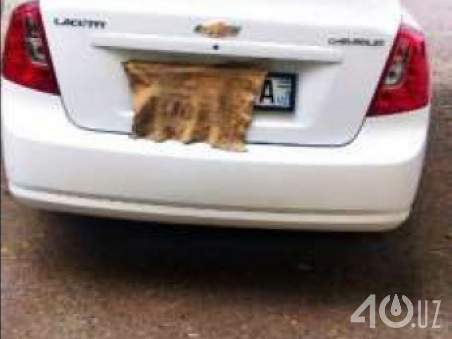 Chevrolet Uz Lacetti II (Gentra)