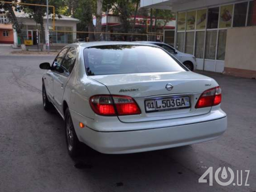 Nissan Maxima V (A33)