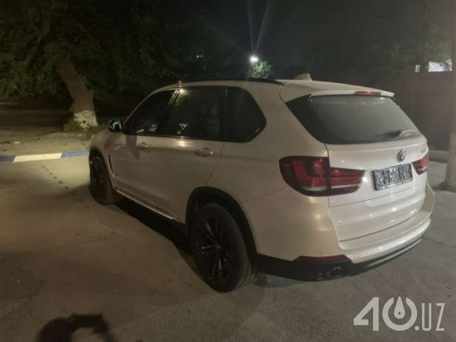BMW X5 III (F15)
