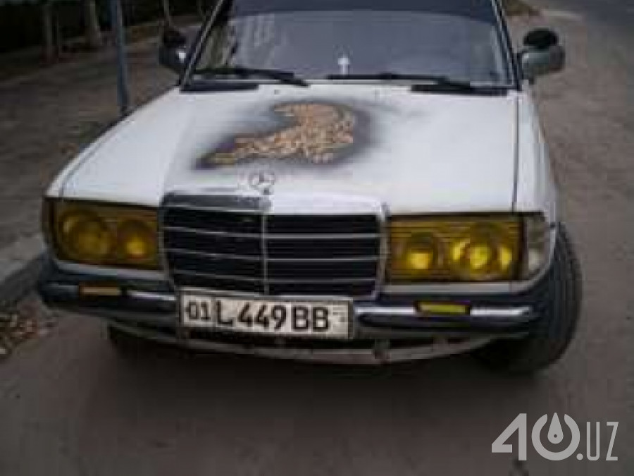 Mercedes-Benz W123