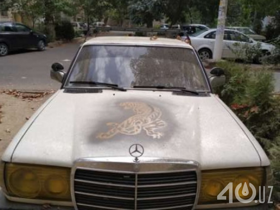 Mercedes-Benz W123