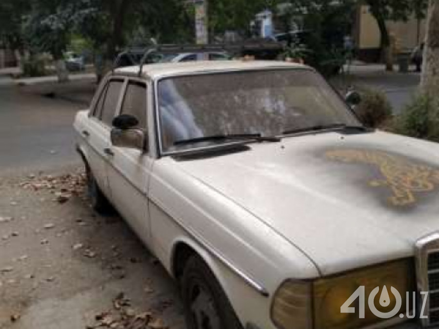 Mercedes-Benz W123