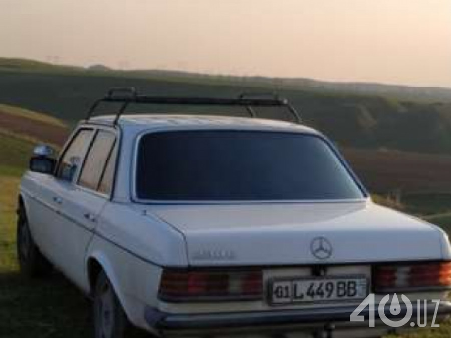 Mercedes-Benz W123