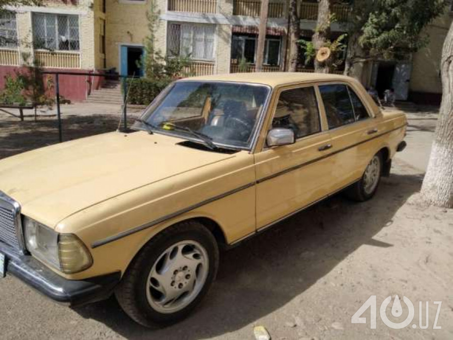 Mercedes-Benz W123