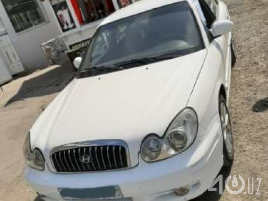 Hyundai Sonata IV (EF) Рестайлинг