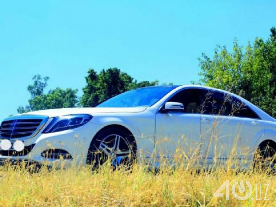 Mercedes-Benz S-klasse V (W221)