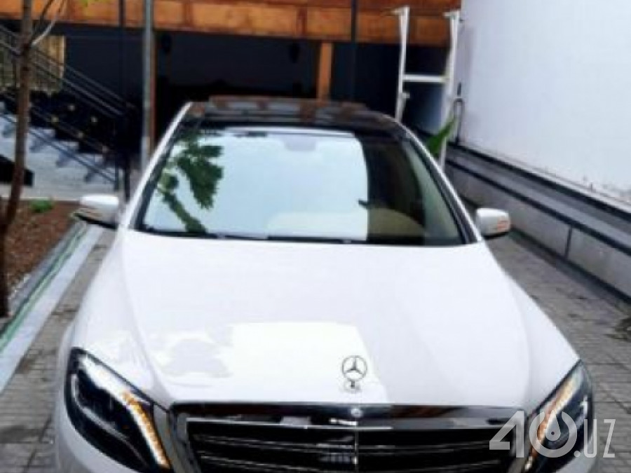Mercedes-Benz S-klasse V (W221)
