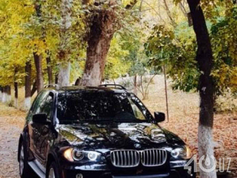BMW X5 II (E70)