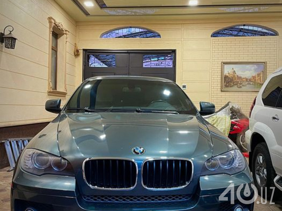BMW X6 I (E71)