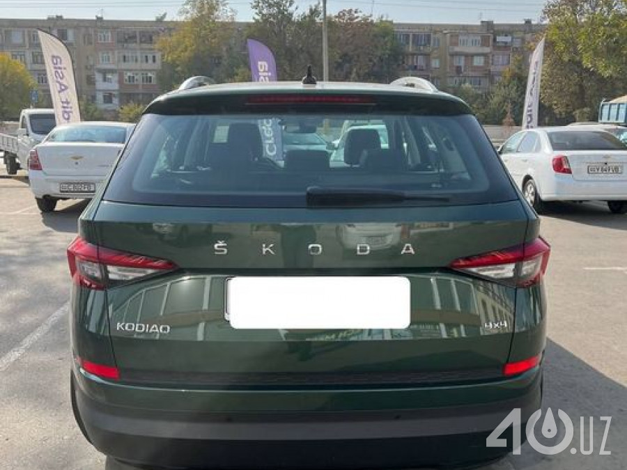 Skoda Kodiaq I