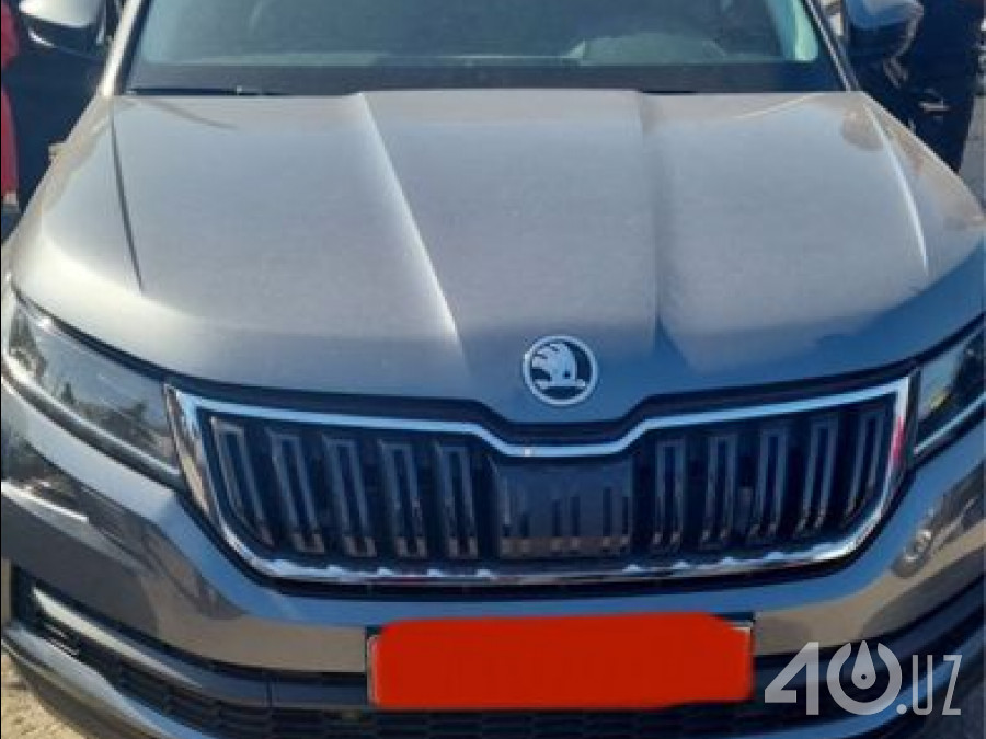 Skoda Kodiaq I