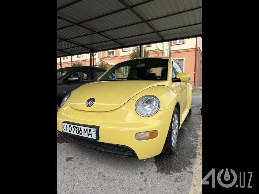 Volkswagen Beetle I (A4)