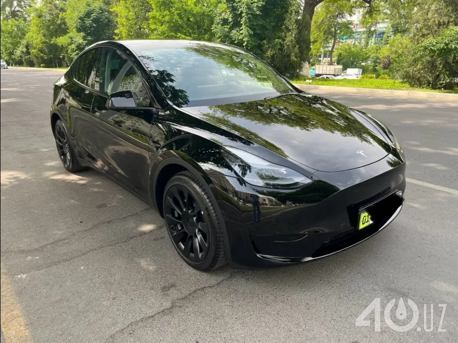 Tesla Model Y I