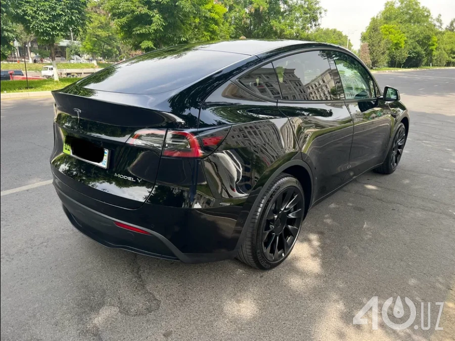 Tesla Model Y I