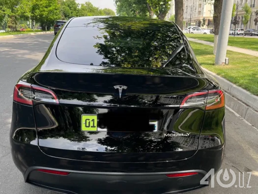 Tesla Model Y I