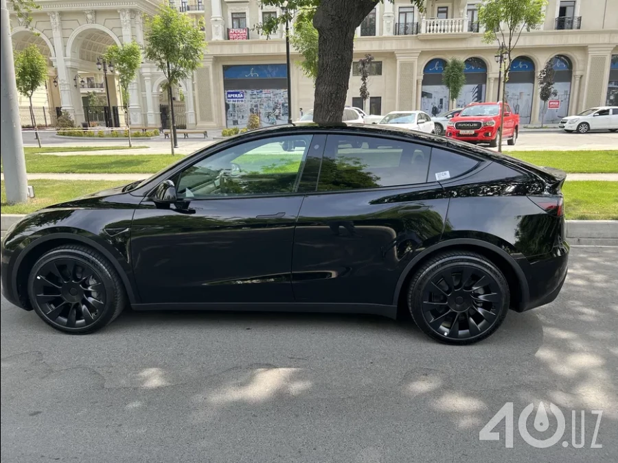 Tesla Model Y I