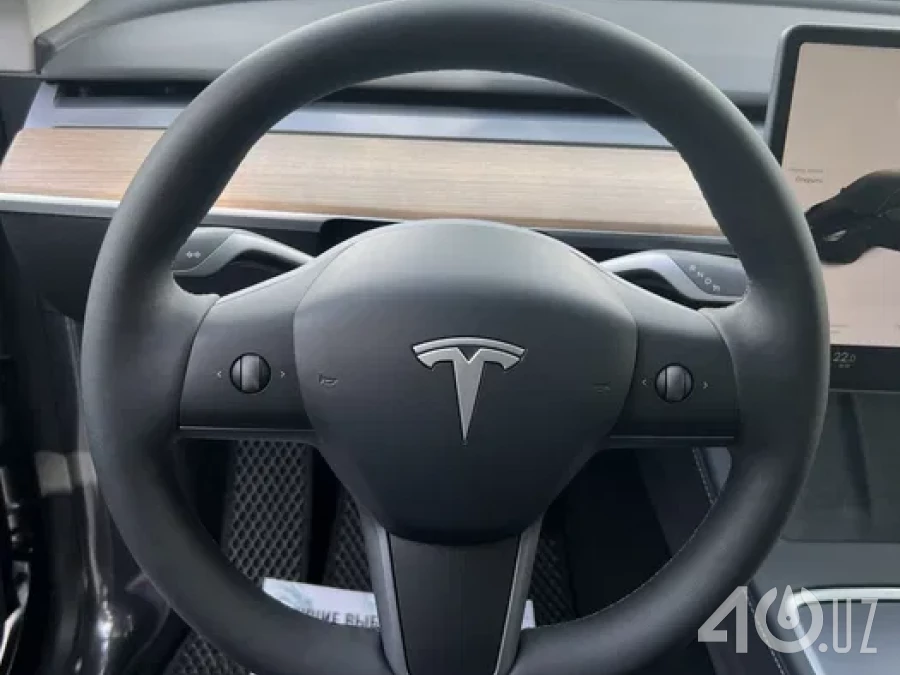 Tesla Model Y I